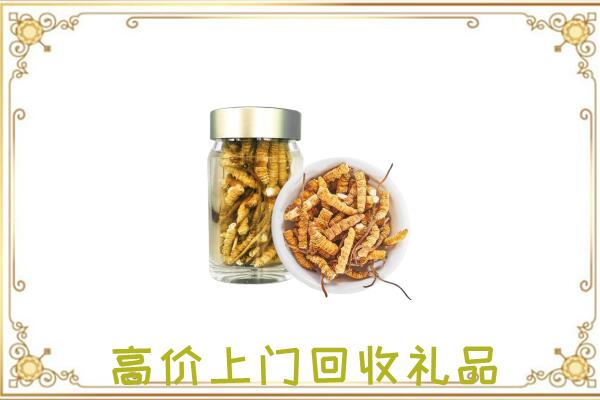 景德镇周边回收虫草